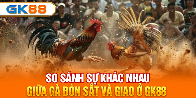 So sánh sự khác nhau giữa gà đòn sắt và giao ở GK88